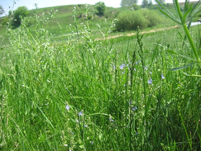 Житомирщина, Полесье