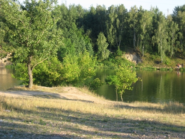 Житомирщина, Полесье