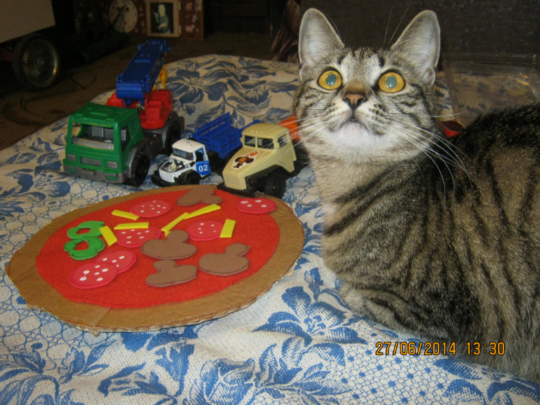 Проект 365. (27.06.2014) Наша традиция- день добрых дел