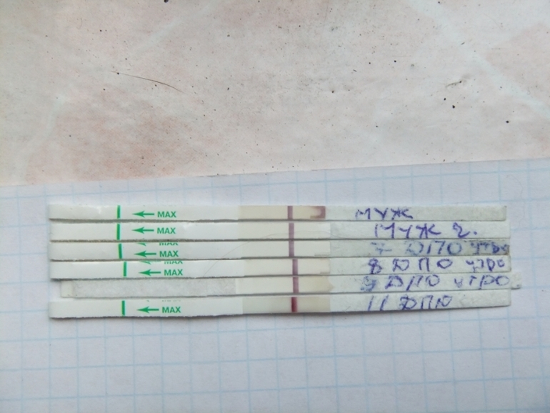 Посмотрите плиз.есть что?