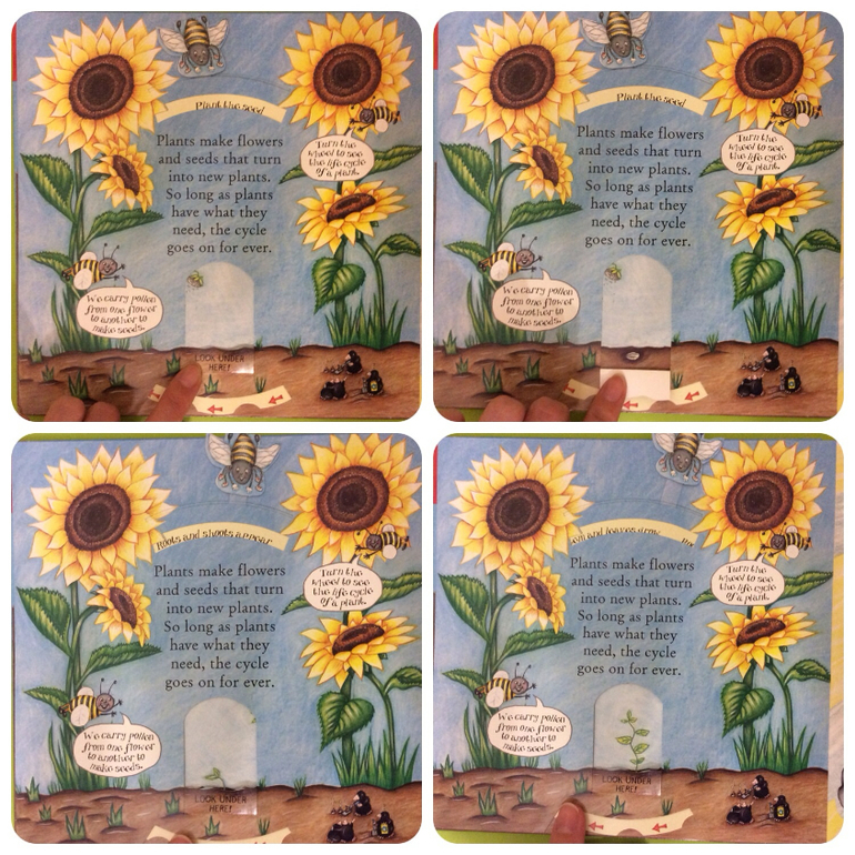 Часть 1. Наши новые книги с клапанами и окошками...