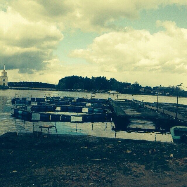 Мой любимый Селигер