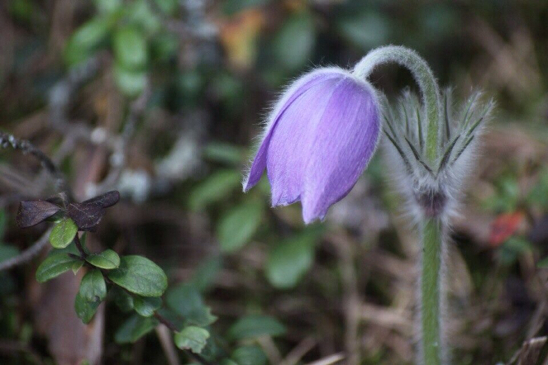 Мой любимый Селигер