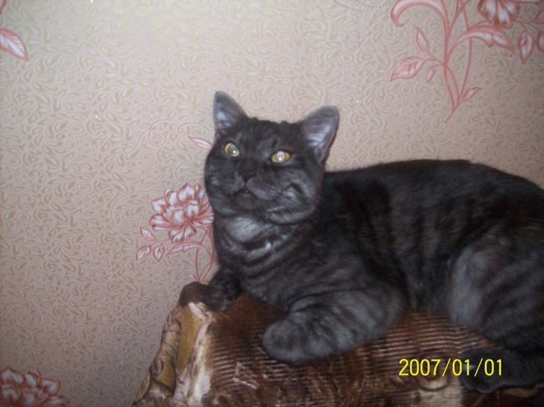 Взяли мы его чтоб ЛЮБИТЬ.