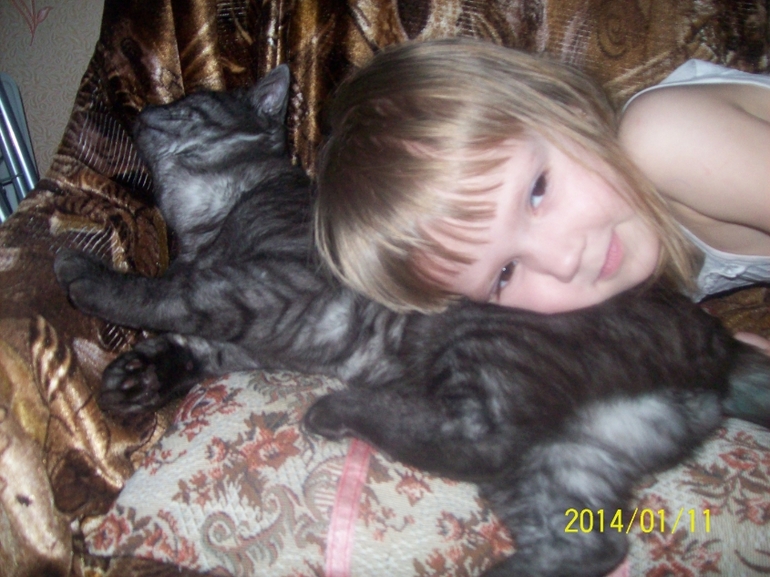 Любимая моя морда.