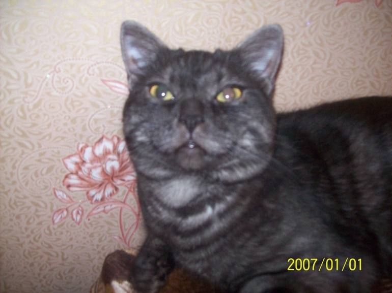 Взяли мы его чтоб ЛЮБИТЬ.