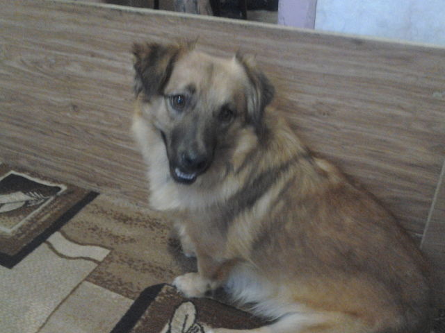 Перепост. ВНИМАНИЕ!!!! Тюмень, Когалым.