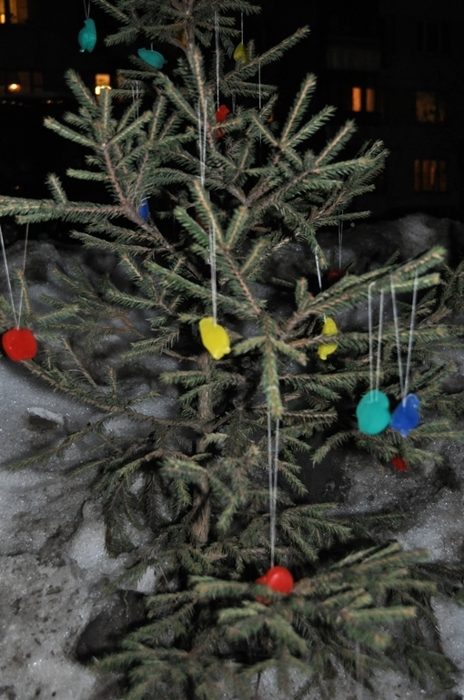 Зимние каникулы