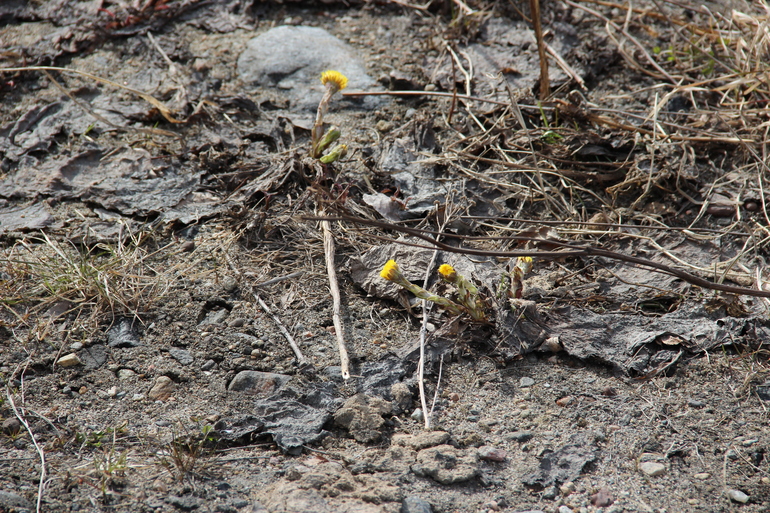 Зима ? ВТФ ?!