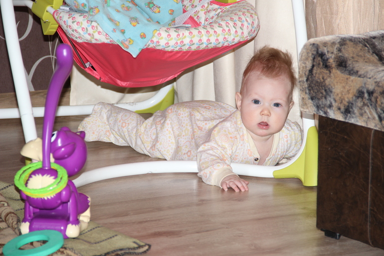 5м 20д шустрик )