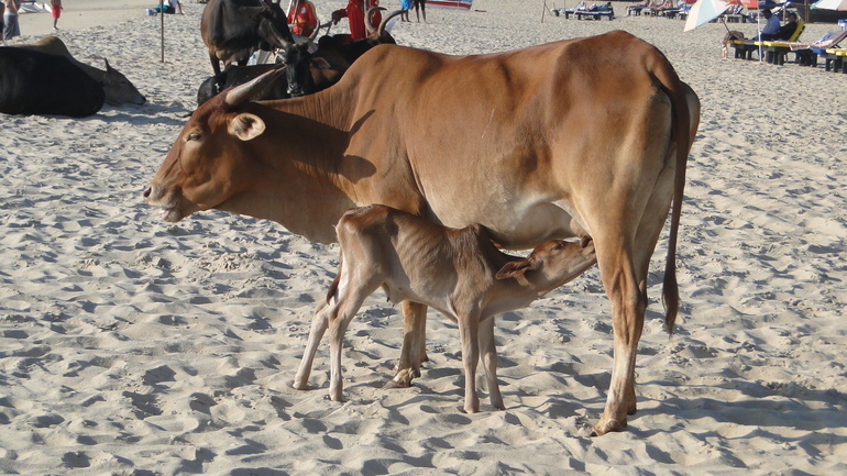 Мини- отчетик об отпуске )))