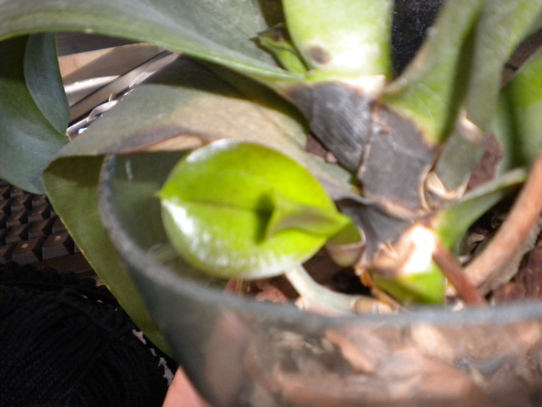 Объясните мне