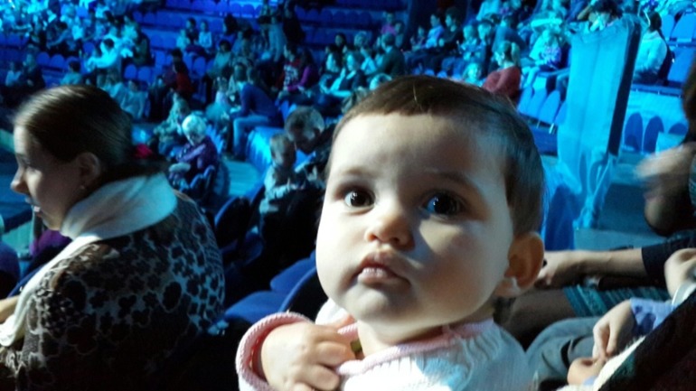 Елка , цирк огромных зверей в сокольниках