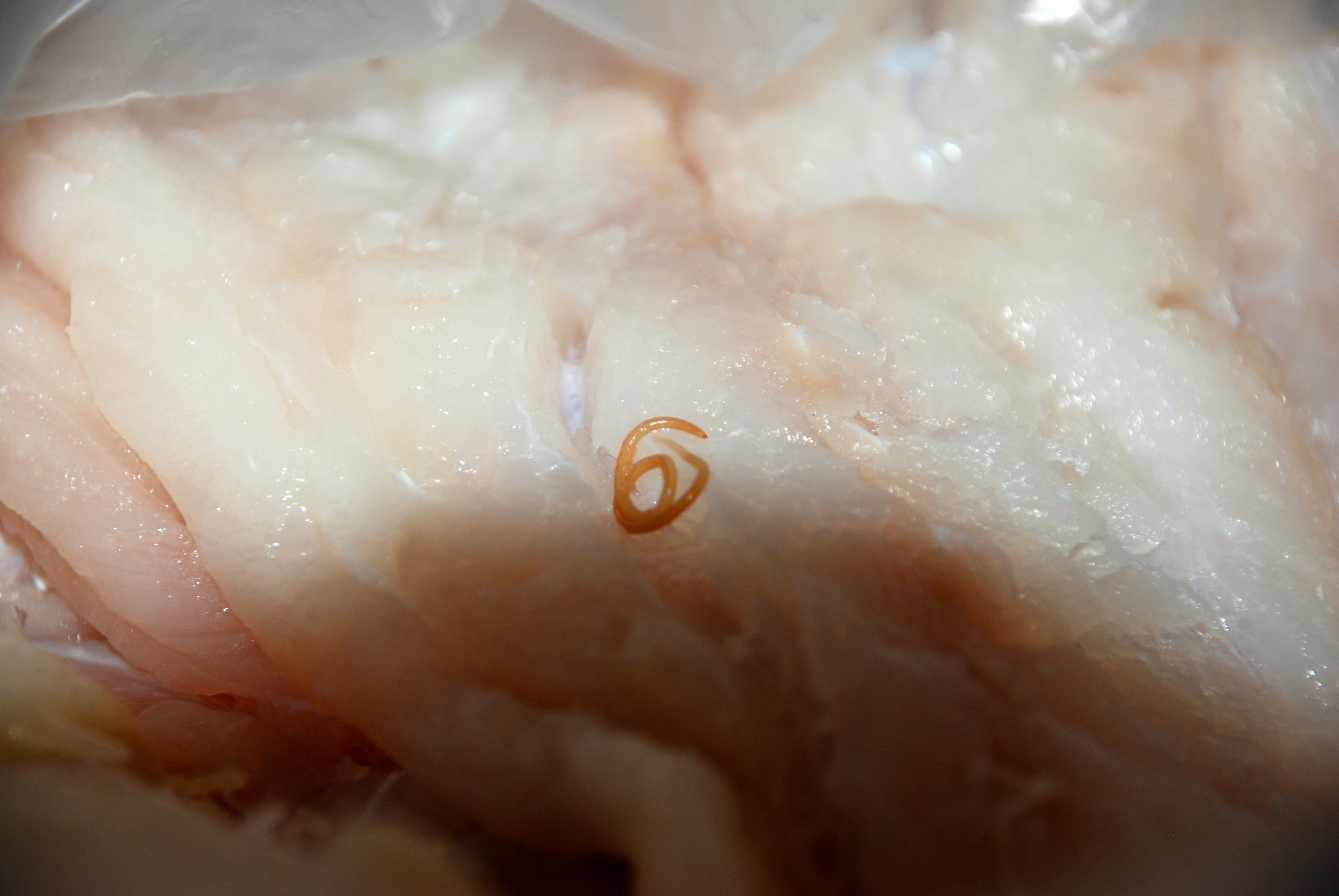 Купили в АШАНЕ рыбу,а там.....