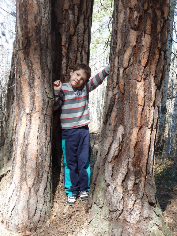 А мы опять в лесок сгоняли)))