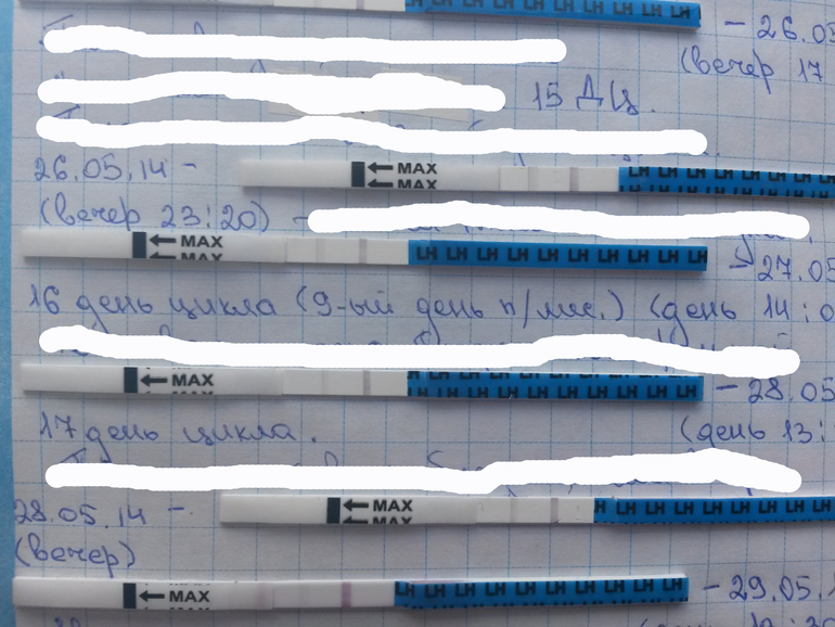 Про тесты на овуляцию... была ли?