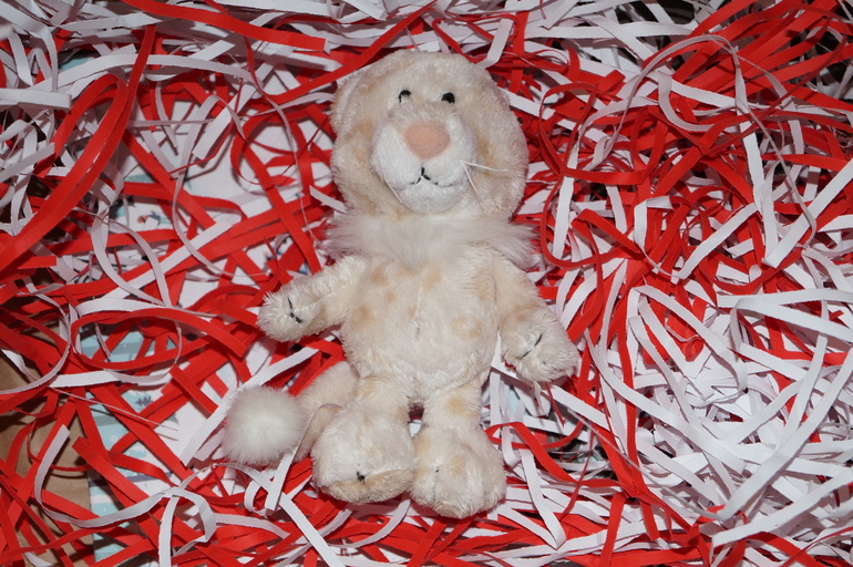 Январская коробочка AistBox