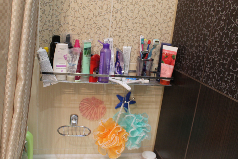 моя ванная и туалет