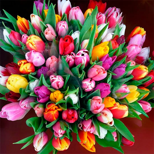 Дорогие девочки поздравляю вас!!!