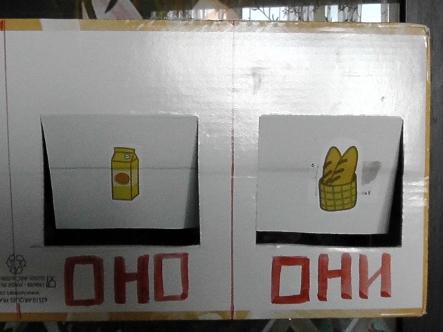 род и число