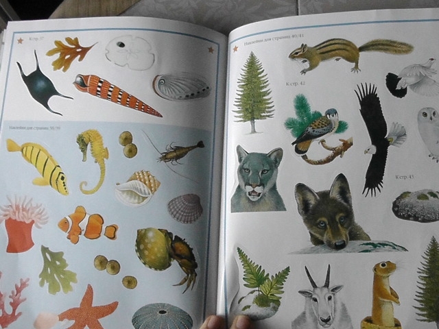 полки уплотняются