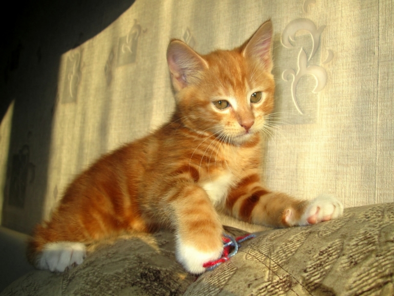 помогите разобраться