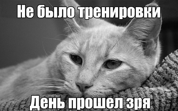 День 22