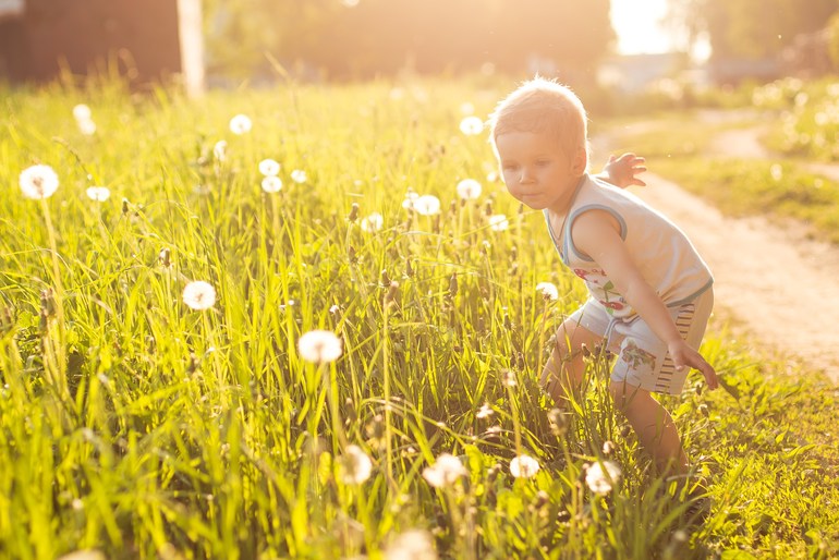 Съемка против солнца. Что вышло?