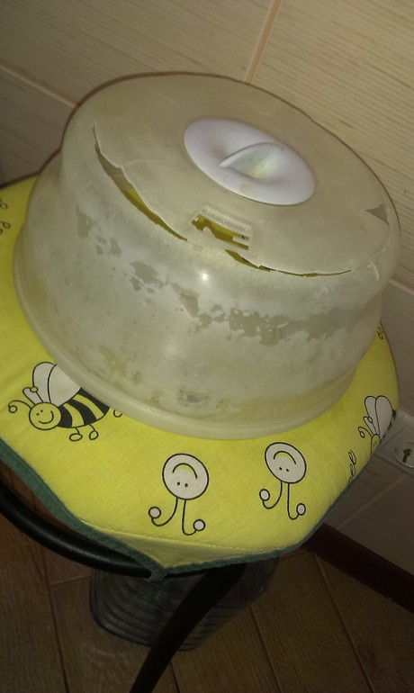 Крышка для стерилизатора авент