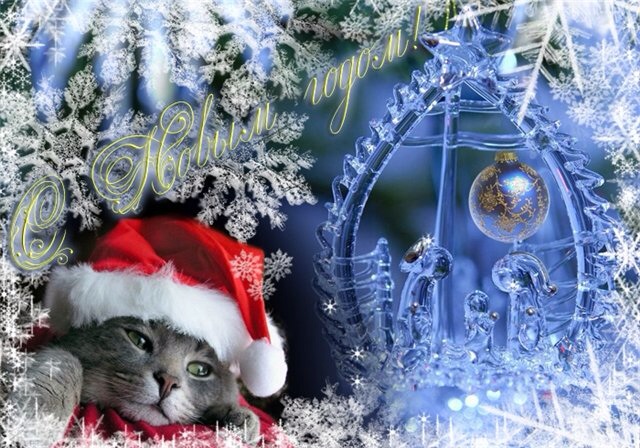 дорогие мои с новым годом!!!