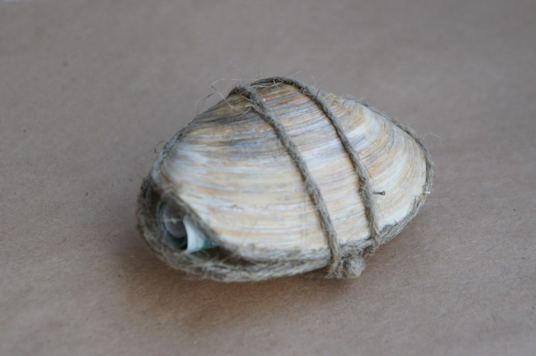 Быстрая упаковка!