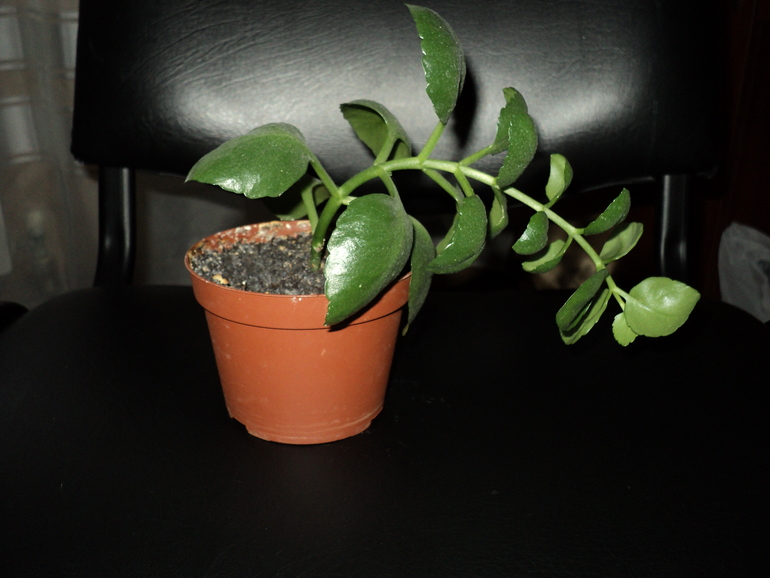 Почему наклонился?