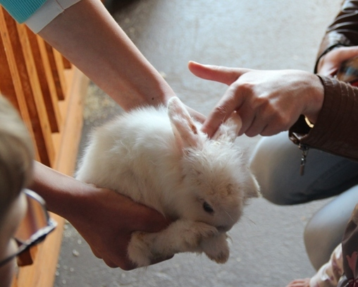 Экзотик парк. Поход с детьми строго ОБЯЗАТЕЛЕН!