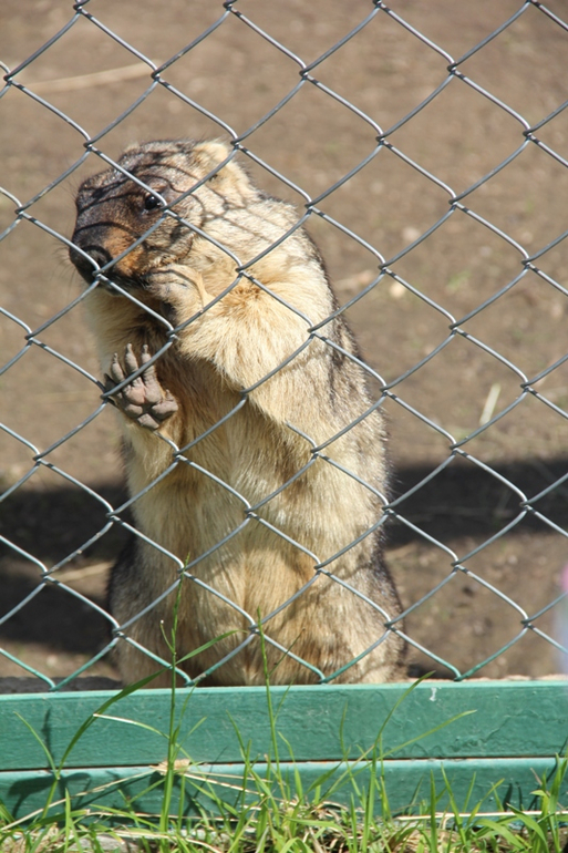 Экзотик парк. Поход с детьми строго ОБЯЗАТЕЛЕН!