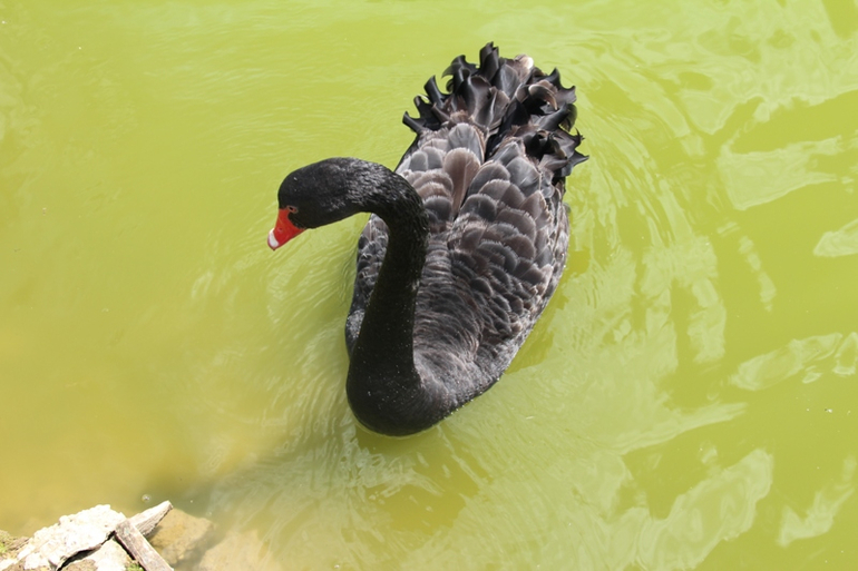 Экзотик парк. Поход с детьми строго ОБЯЗАТЕЛЕН!