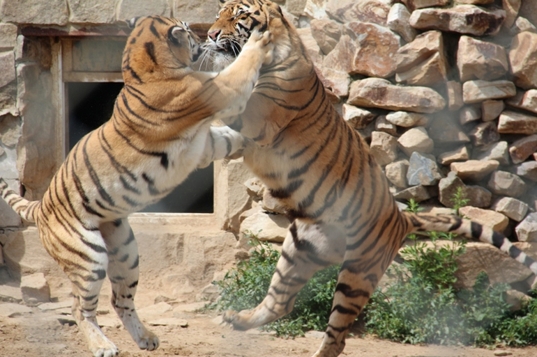 Экзотик парк. Поход с детьми строго ОБЯЗАТЕЛЕН!
