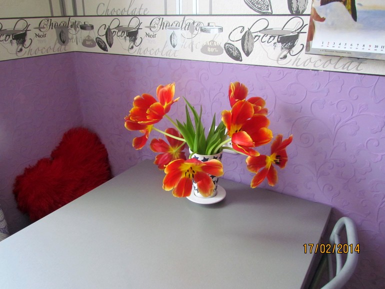 про любофф и 14 февраля