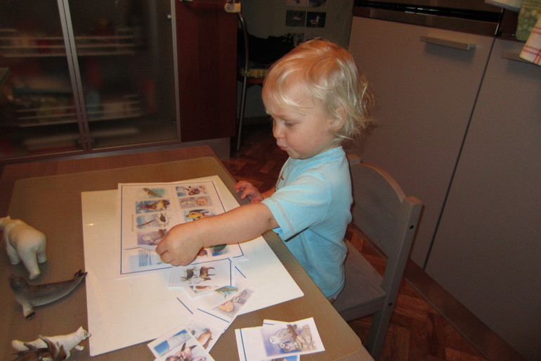 ТН Арктика и Антарктика. День 5