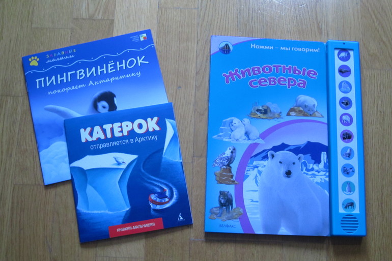 ТН Арктика и Антарктика. День 2-3-4.