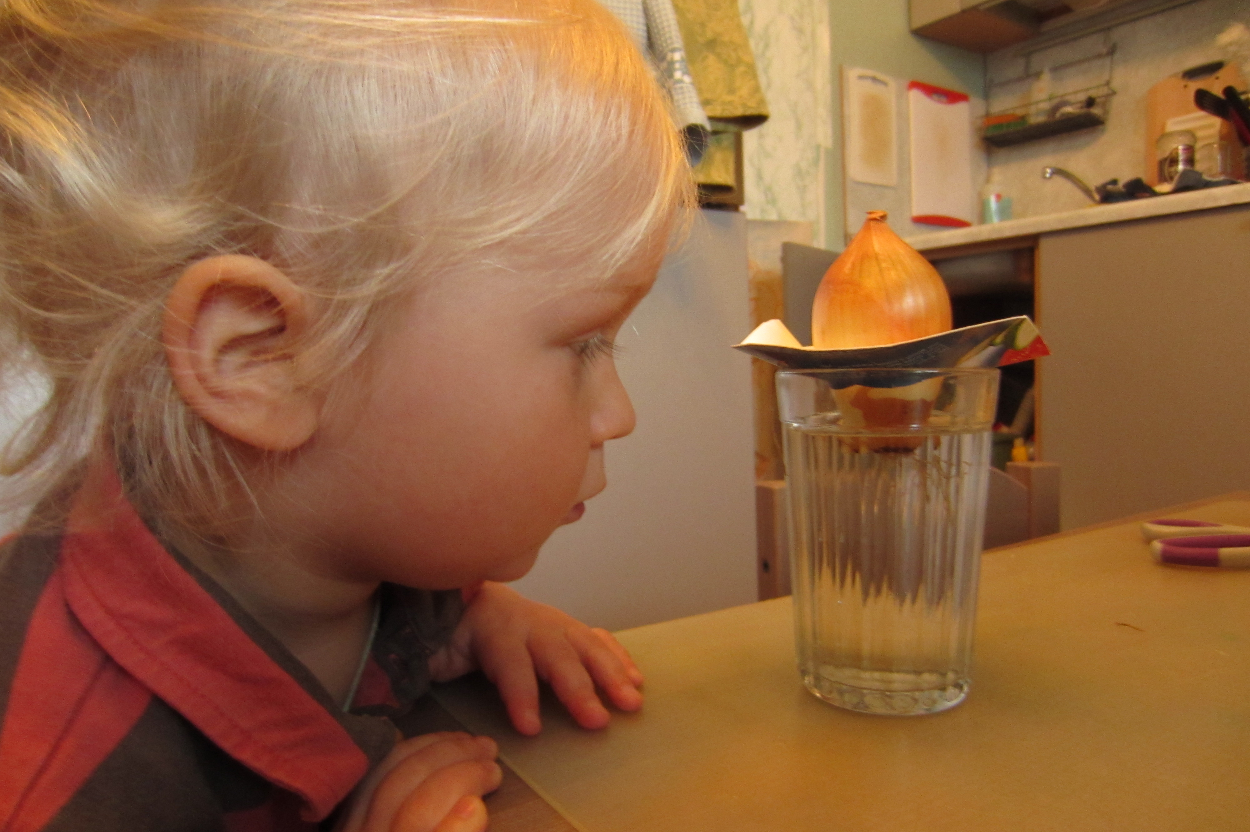 ТН Весенний переполох. День 3 (17 марта) (продолжение)