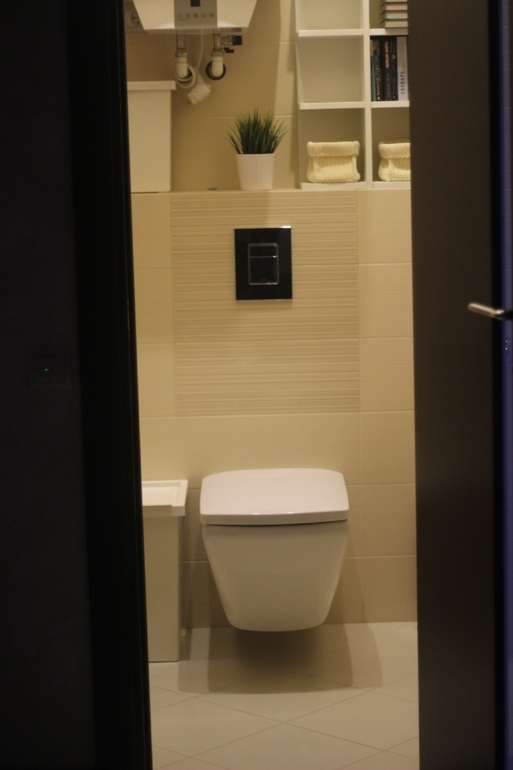 Наш санузел