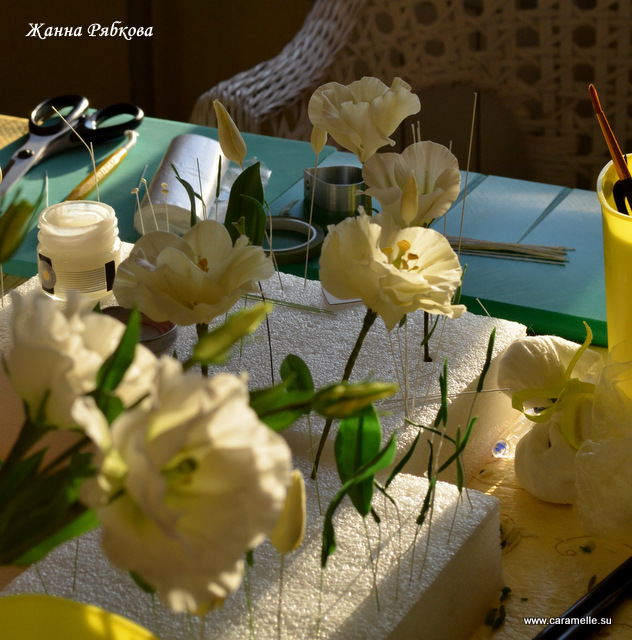 Курсы по Сахарной флористике Жанны Рябковой