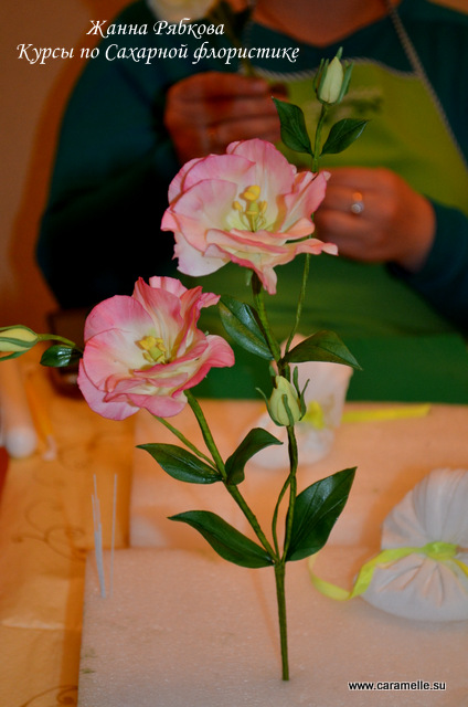 Курсы по Сахарной флористике Жанны Рябковой