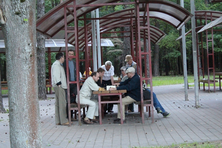 Беларусь, часть 1 - цветочная