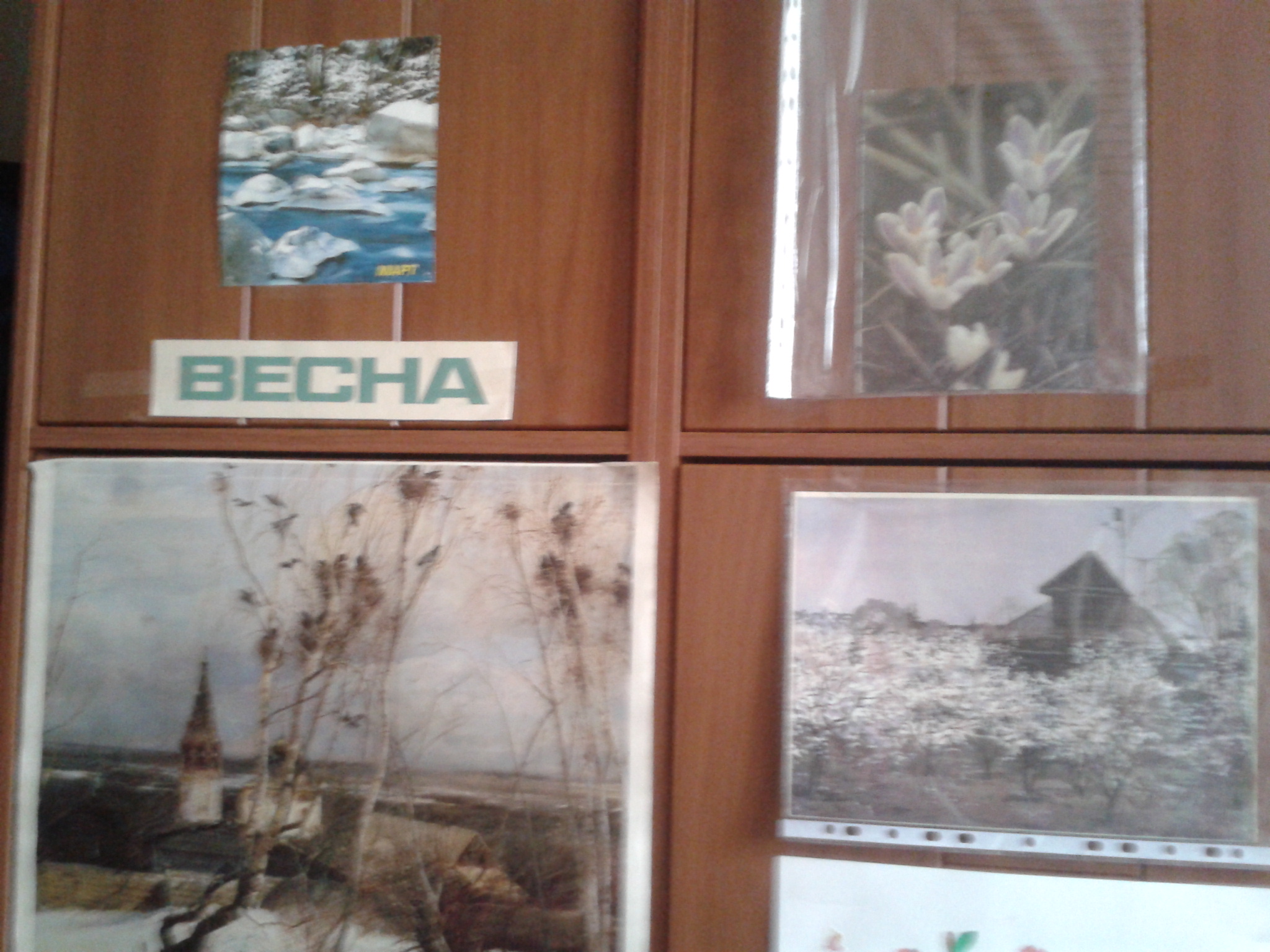 ТН Весна