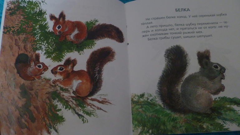 Наши любимые книжки в 2,3 г.