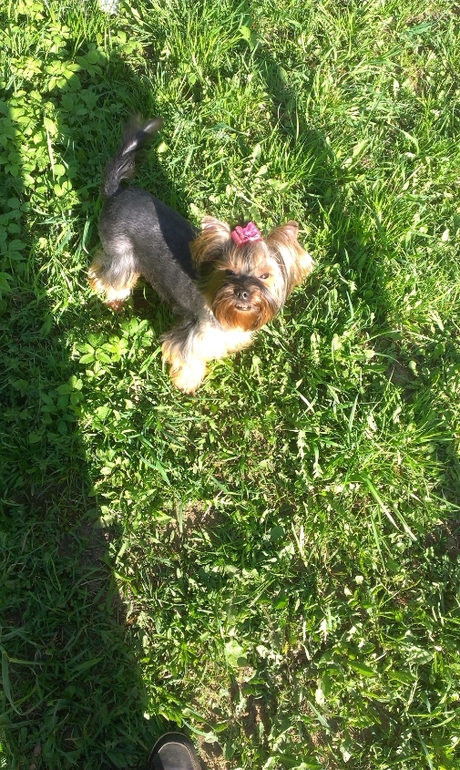 на прогулочке))