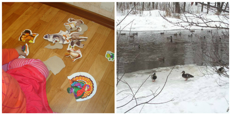 проект " По дороге с музыкой" ТЗ " Кто там прячется в пруду"