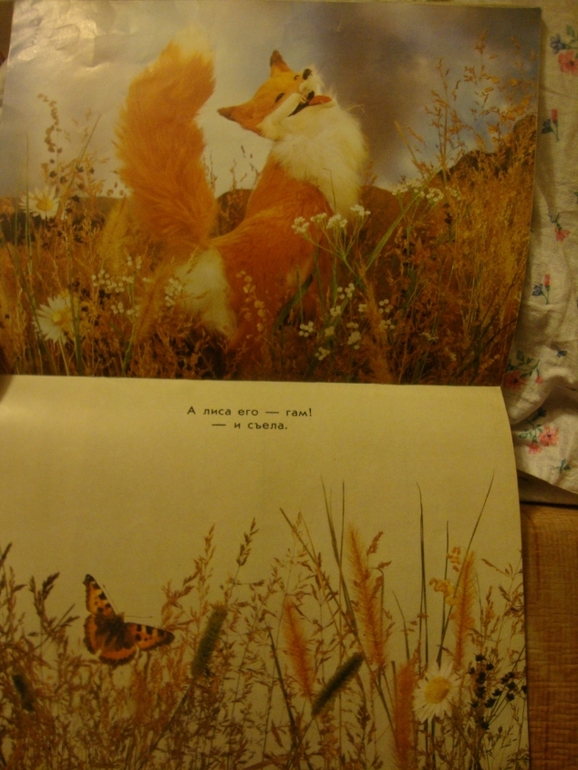 Колобок - Курочка ряба