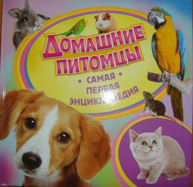 Т Н "Домашние животные" (3-7.01.2014)